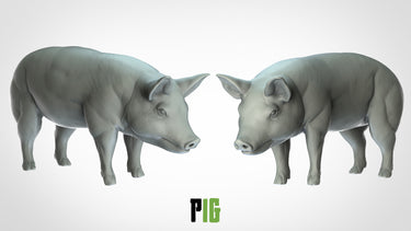 Pig